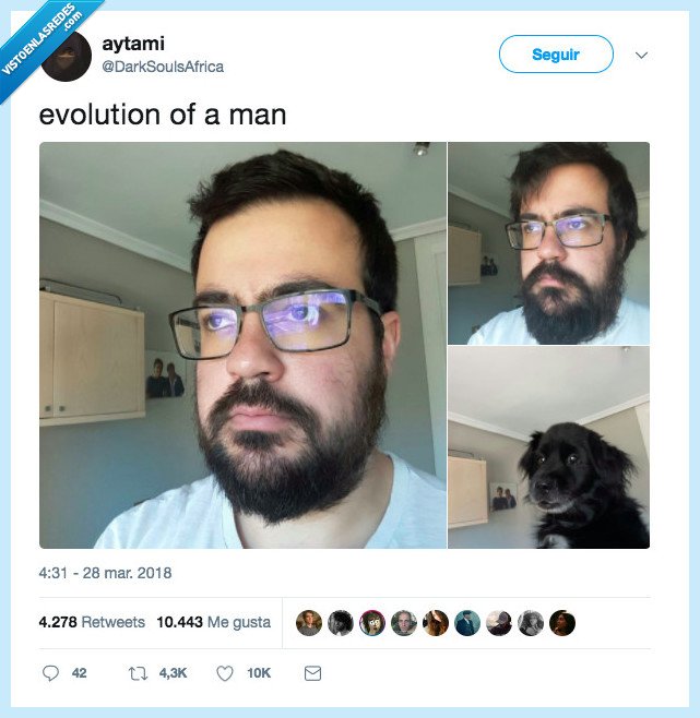 485480 - Evolución perruna, por @DarkSoulsAfrica