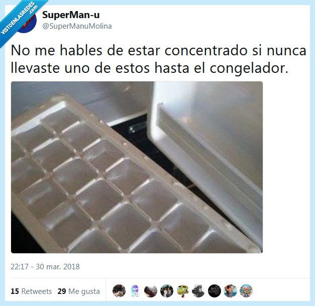 congelador,concentrado,hielo,llevar