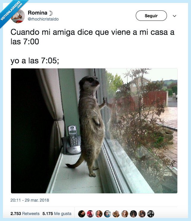 metida,donde,estará