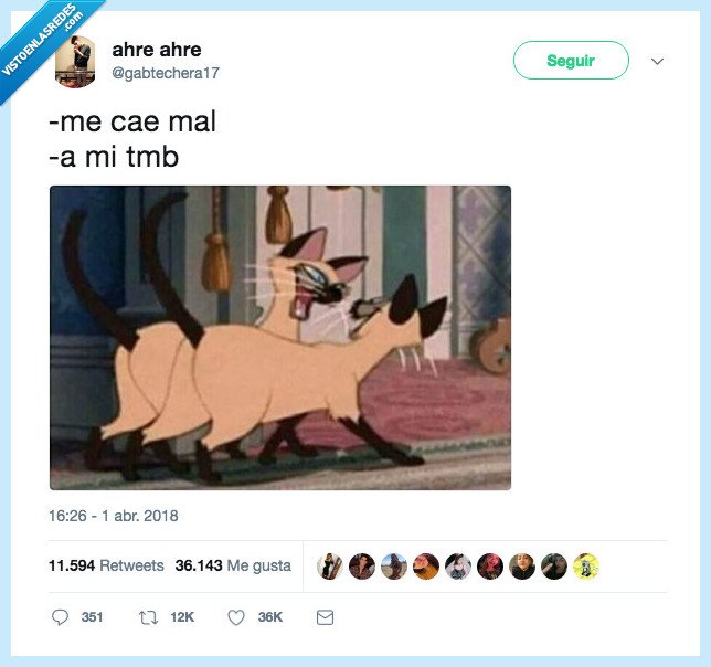 amistad,convertir,indestructible