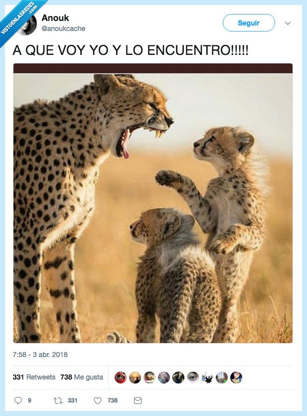 reino,animal,importar