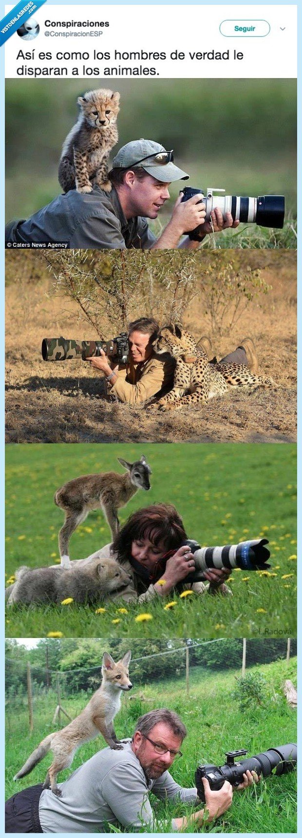 manera,disparar,animales