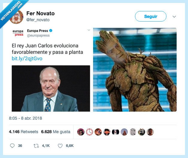 poner,maceta