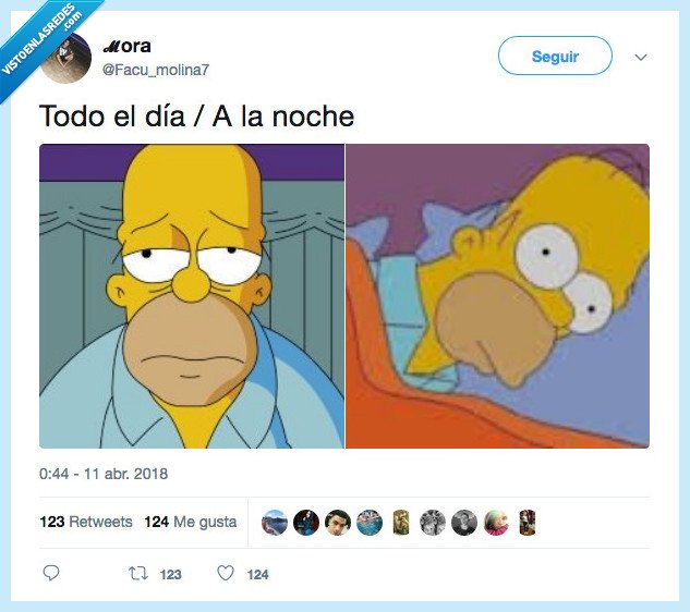 imposible,dormir,b&uacute;ho
