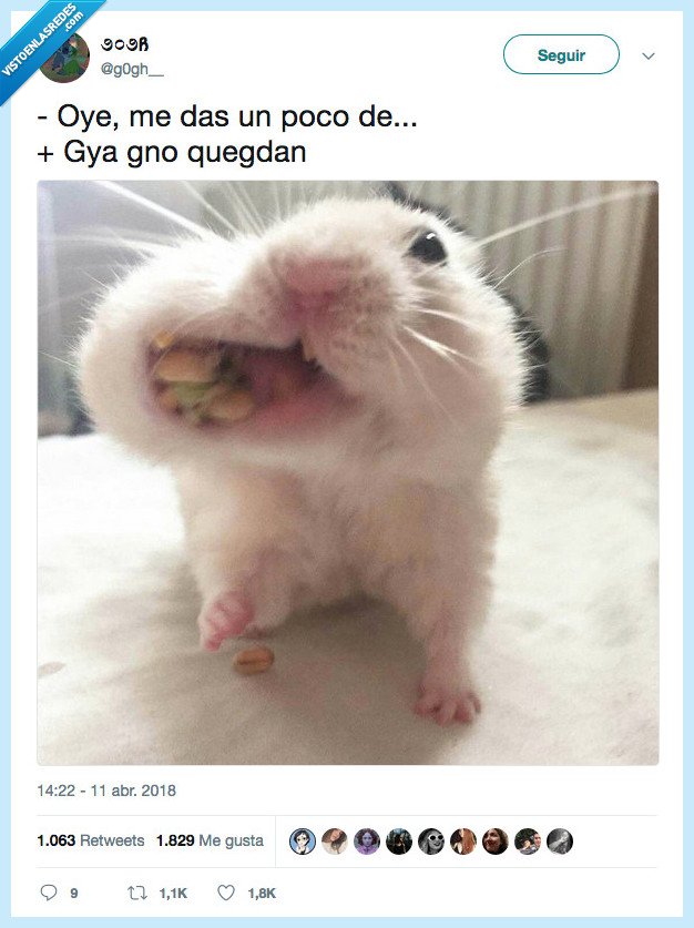 hamster,quedar sin,comida