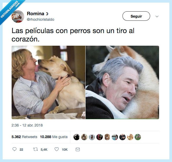 perro,richer gere,películas