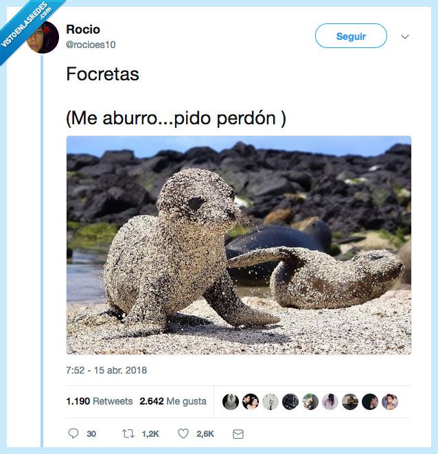 croquetas,comer,únicas