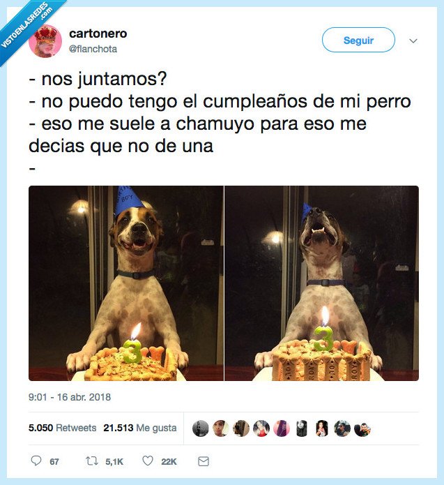 mentira,perro,cumpleaños