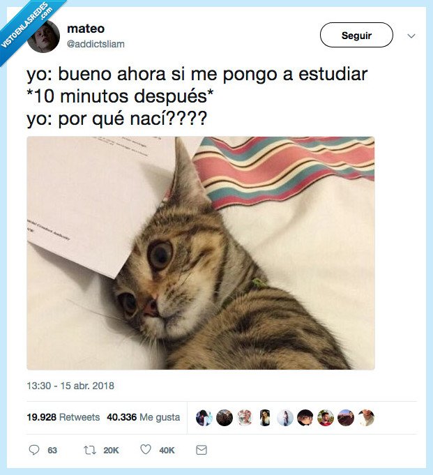 pregunta,existencial