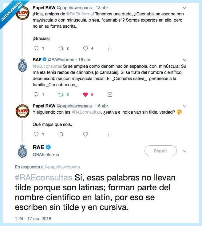 papel raw,marihuana,RAE