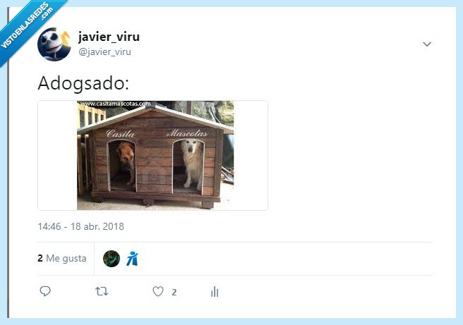 Adogsado,perro,dog,adosado