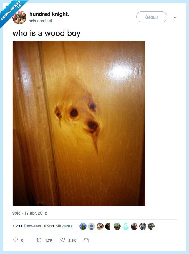 ocasiones,perros,ver,madera,juego de palabras inglés