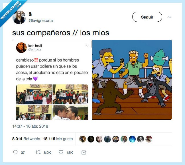 compañeros,clase,monos
