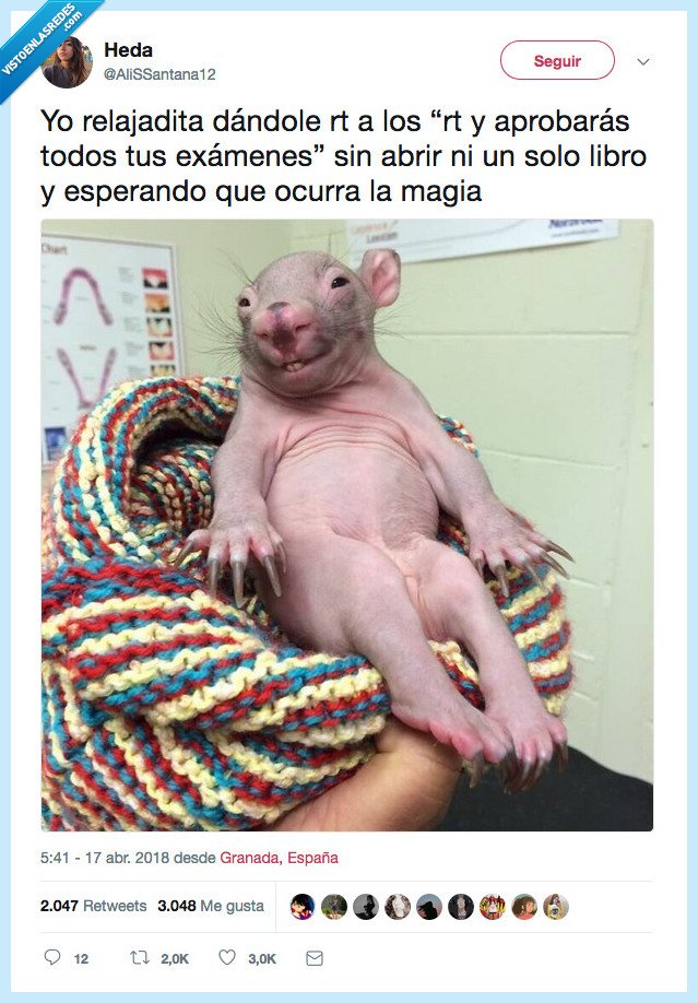 examen,suspender,rt,aprobar