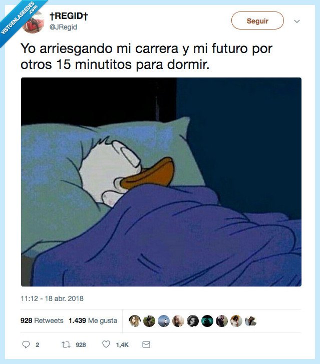 pelar,todo,dormir,fuera