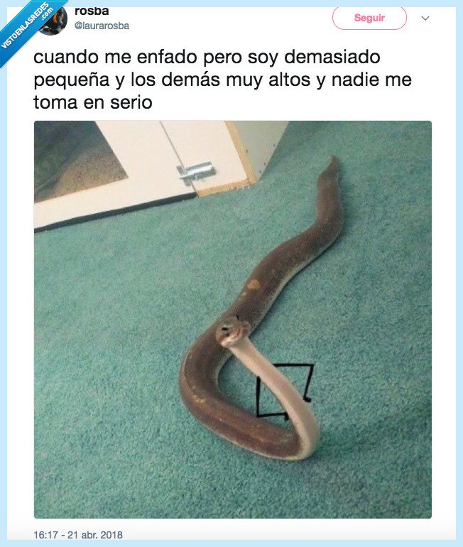 caso,chillar,no hacer