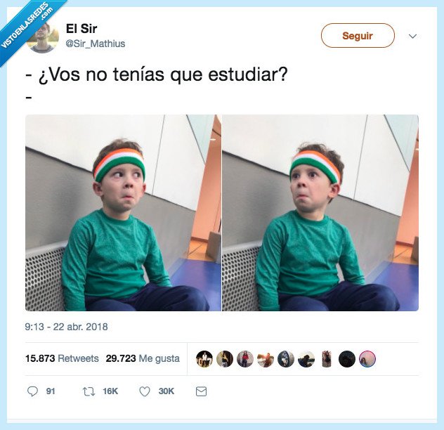 estudiar,mosca,mirar