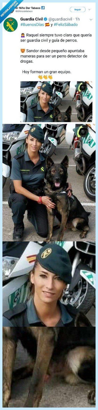 perro,guardia civil,raquel