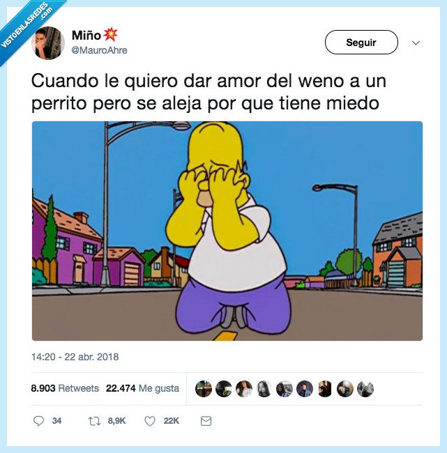 homer,llorar,perro