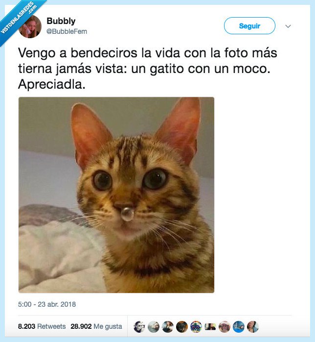 alegrar,sentimientos