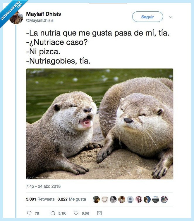 nutria,comida