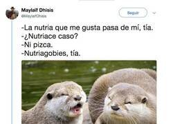 Enlace a Enorme la nutria, por @maylaifdhisis
