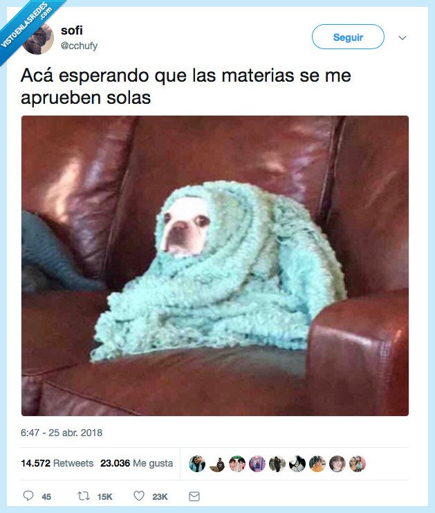 no se aprueba,materas,solas,perrete