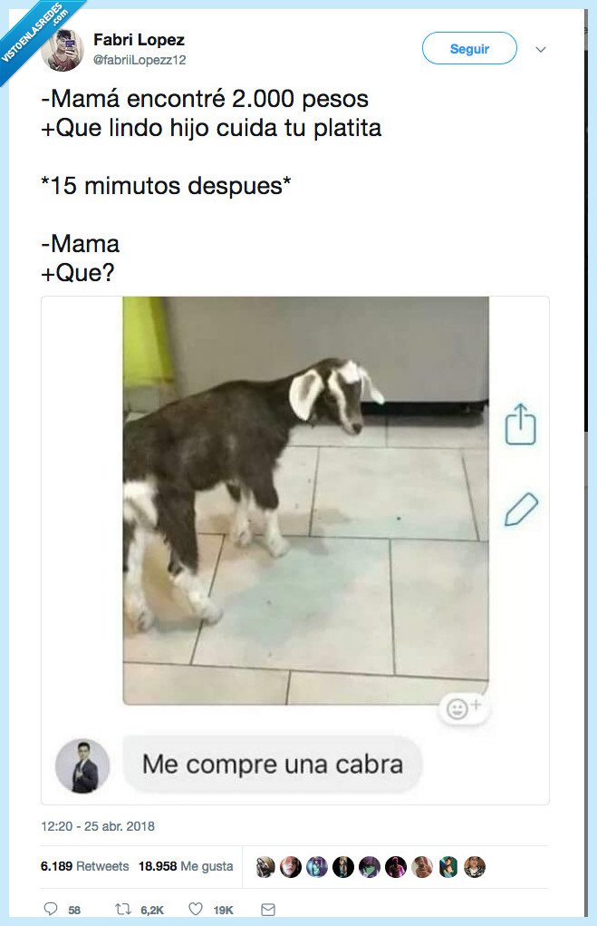 pasta,cocodrilo,cabra