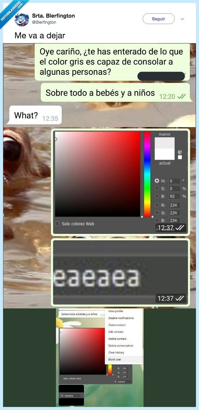 novio,diseñador,tonto