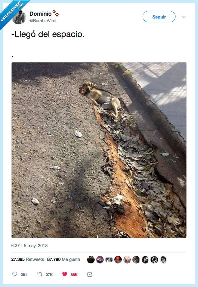 aterrizar,astronauta,perro