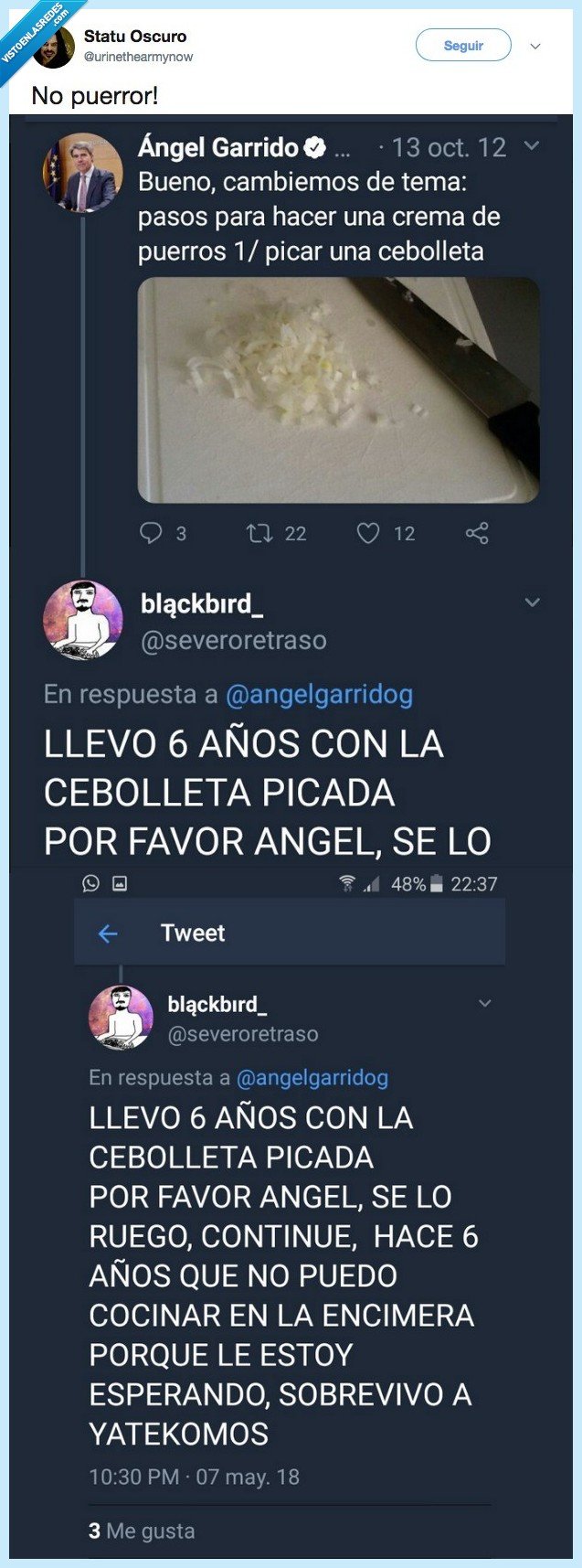 6 años,cebolleta,picada