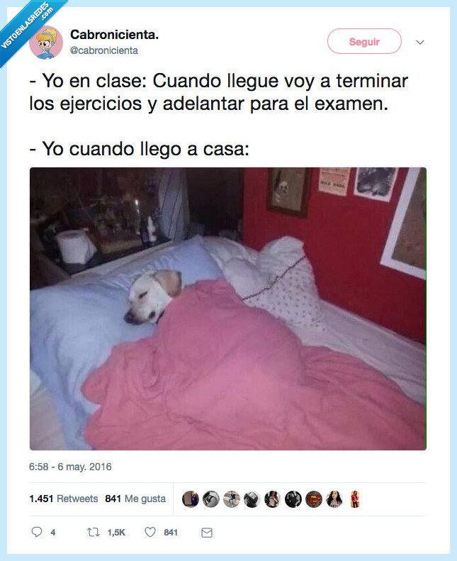 dormir,terminar,llegar,adelantar