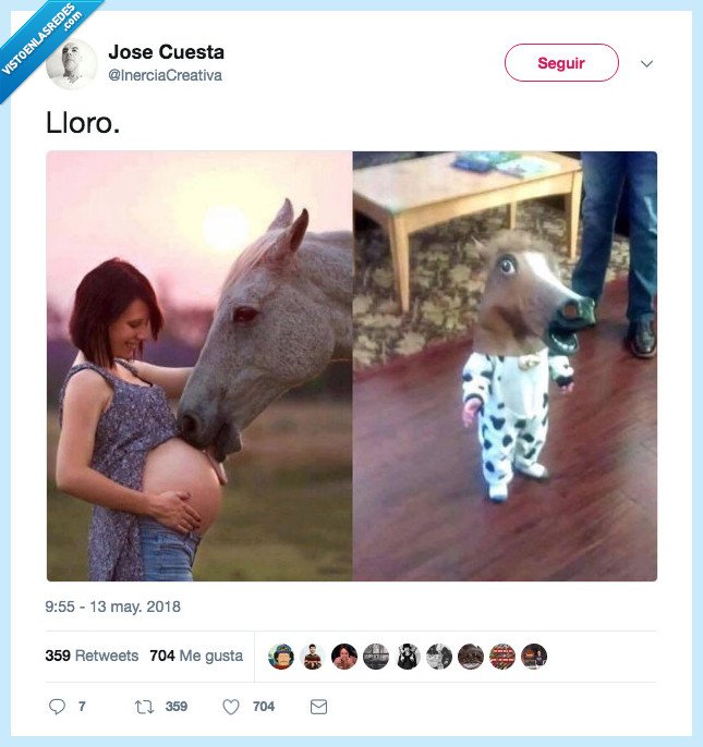 caballo,bebé