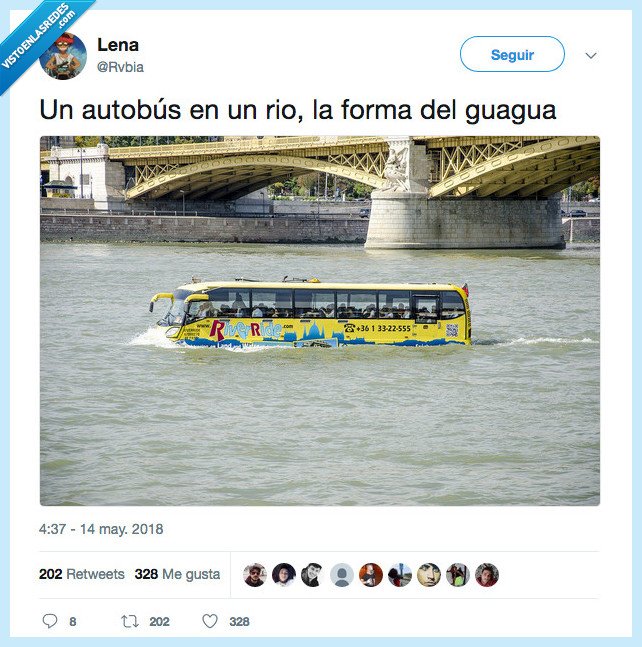 canarian,guagua,la forma del agua