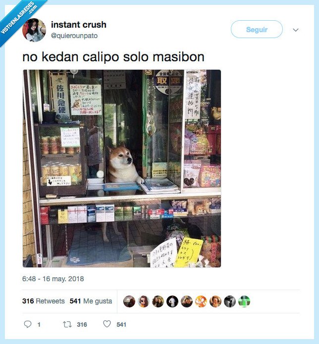 perro,masibon,quiosco