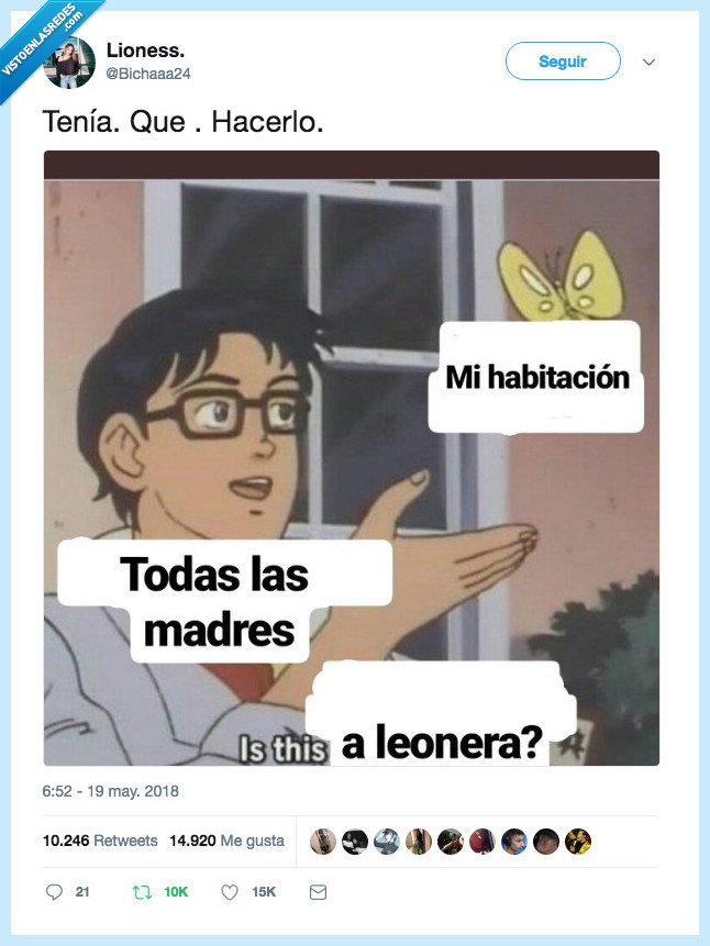 palabra,diccionario,madre