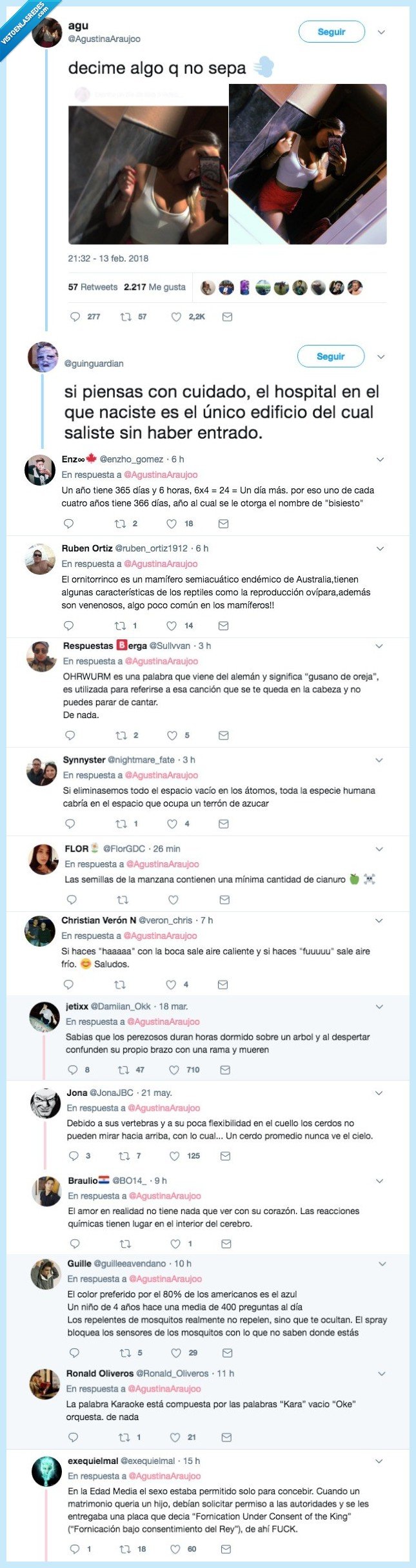 instituto,años,conocimiento