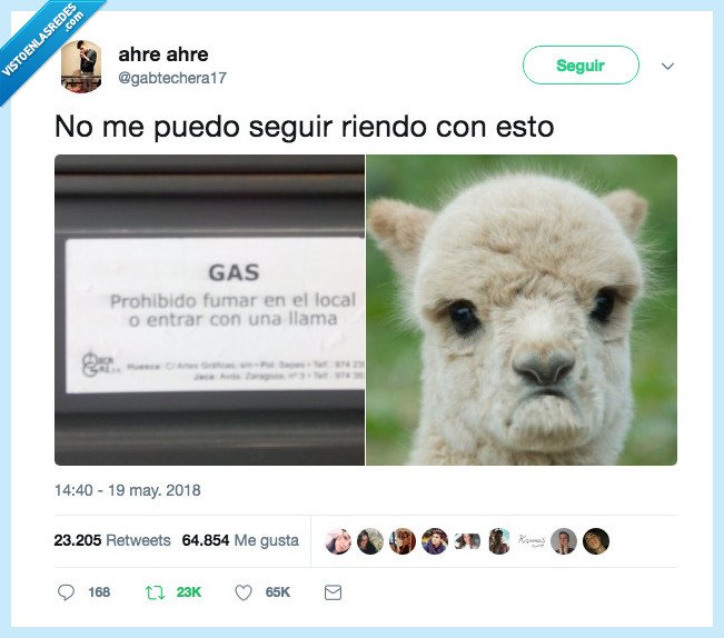 llama,triste,reír