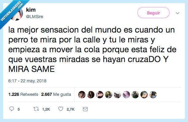 bless,perrete,sentirse