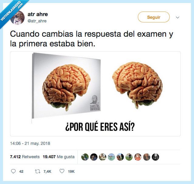 cerebro,cambiar,respuesta