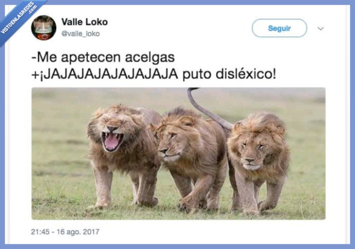 Leones,dislexico,comer,chiste