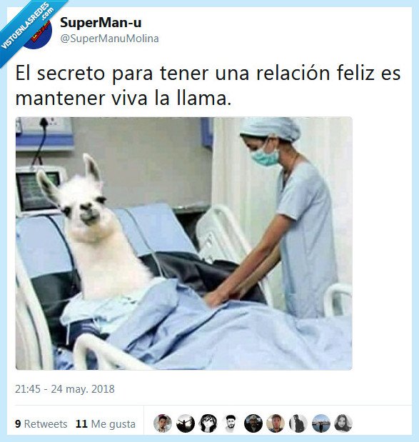 llama,relaci&oacute;n,secreto,amor