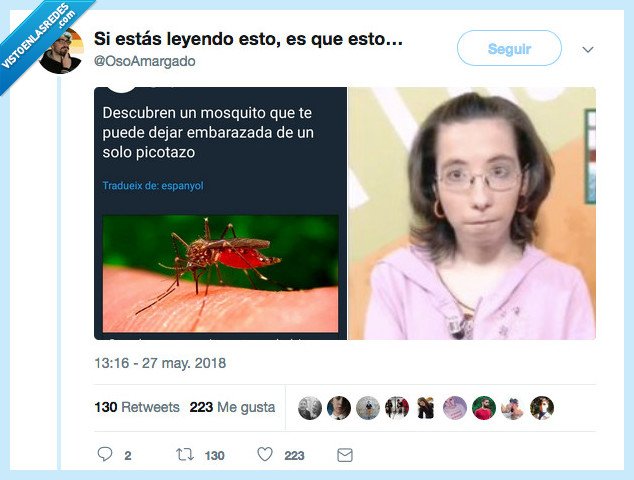 razón,tiempo,embarazo,mosquito