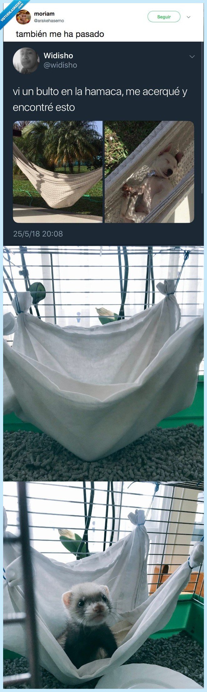 bulto,hamaca,encontrar