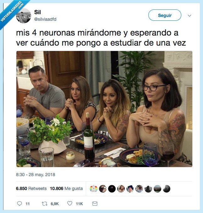 cabeza,nuestra vida universitaria,missyu,neurona,jersey shore