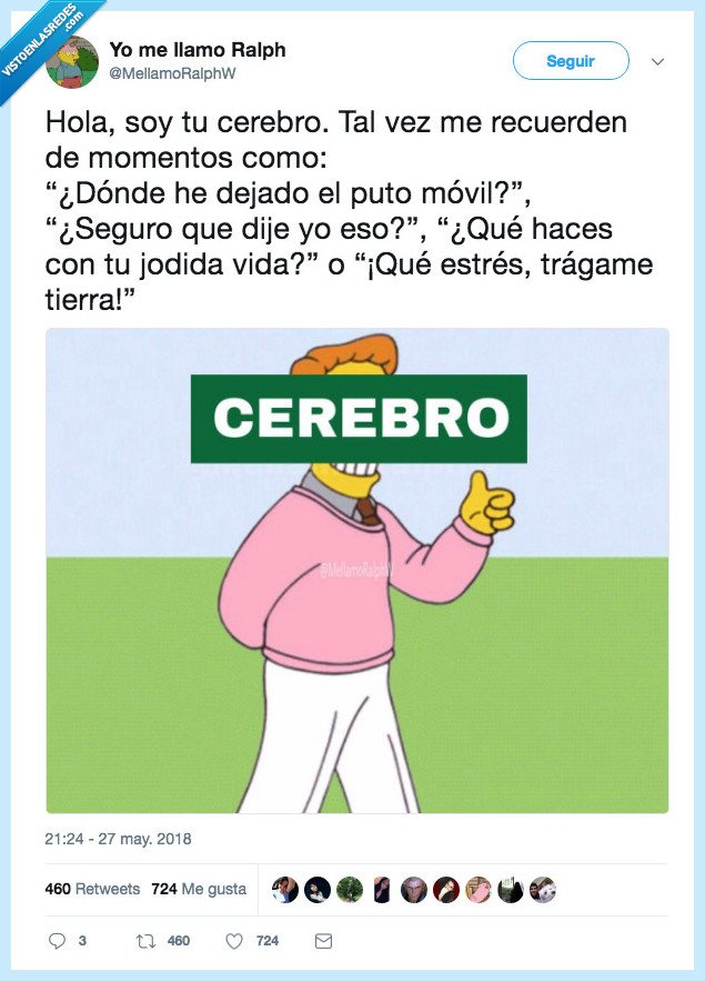 simpsons,vida,cerebro
