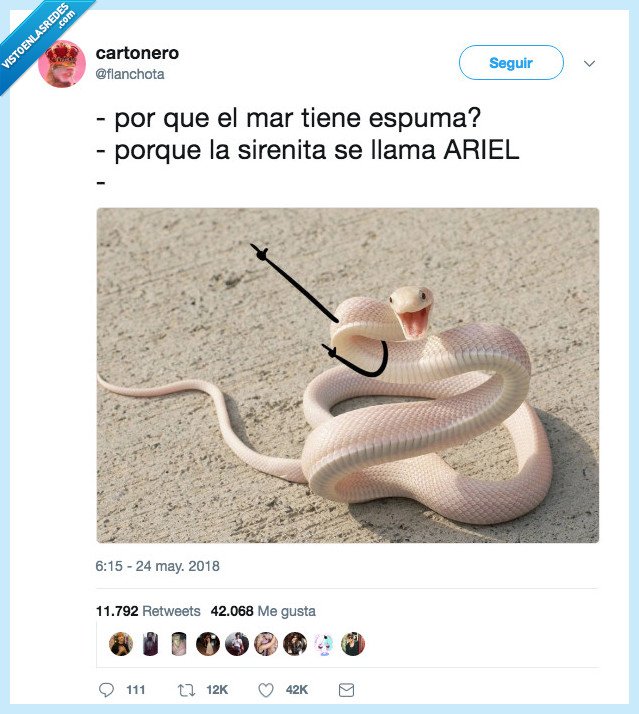 chistaaco,día,serpiente