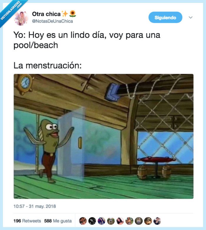 playa,menstruación,verano,casualidad,piscina