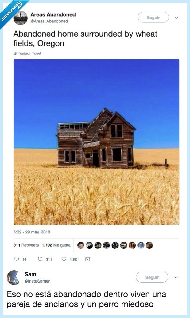 agallas,ancianos,perro