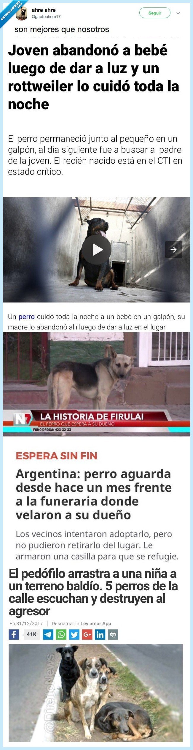 duda,perros,mejores,nosotros